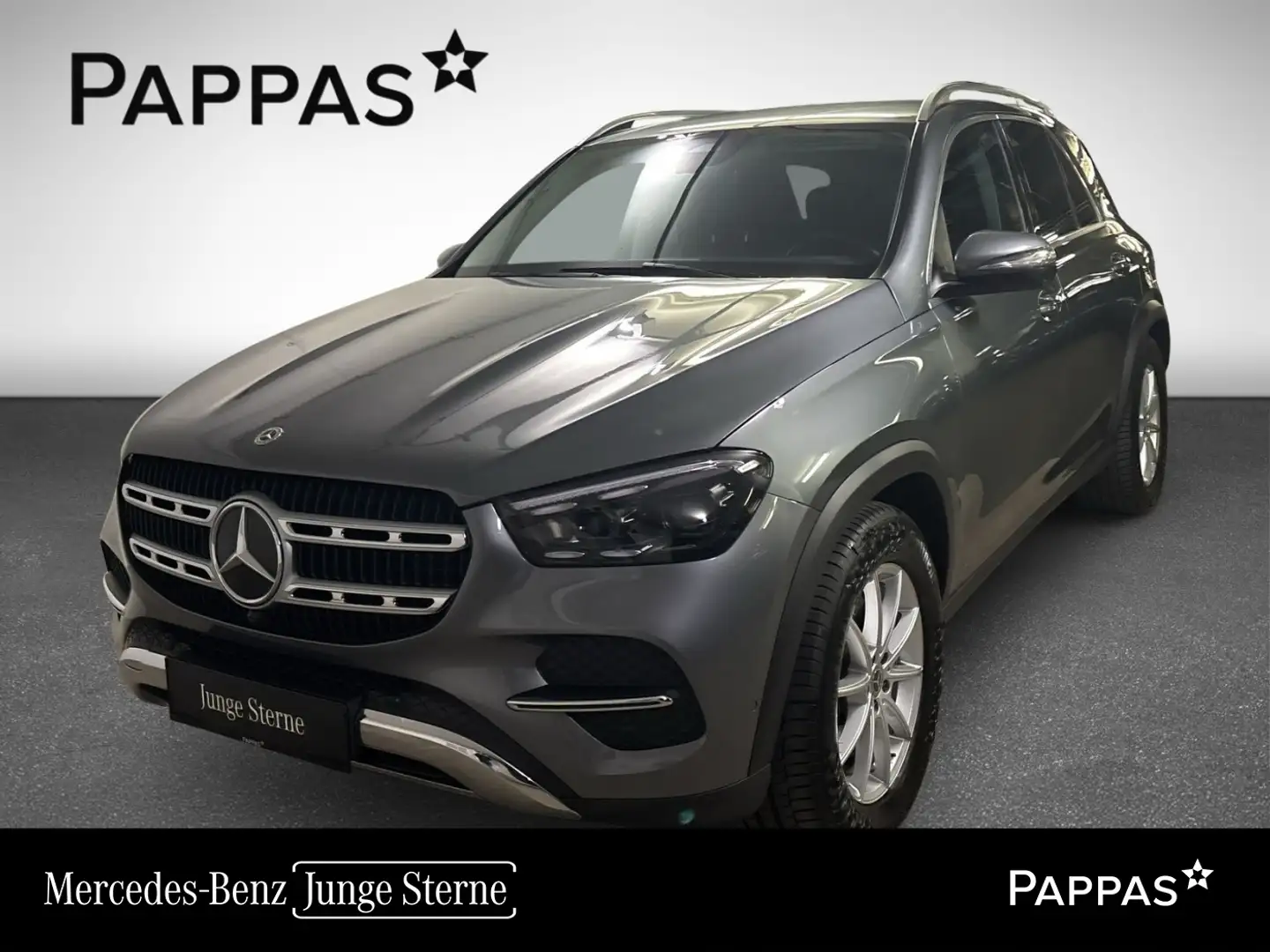 Mercedes-Benz GLE 350 de 4MATIC PTS Distr Navi Airm Cam AHK Gris - 1