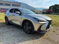 Lexus NX 350h Grigio - thumbnail 3