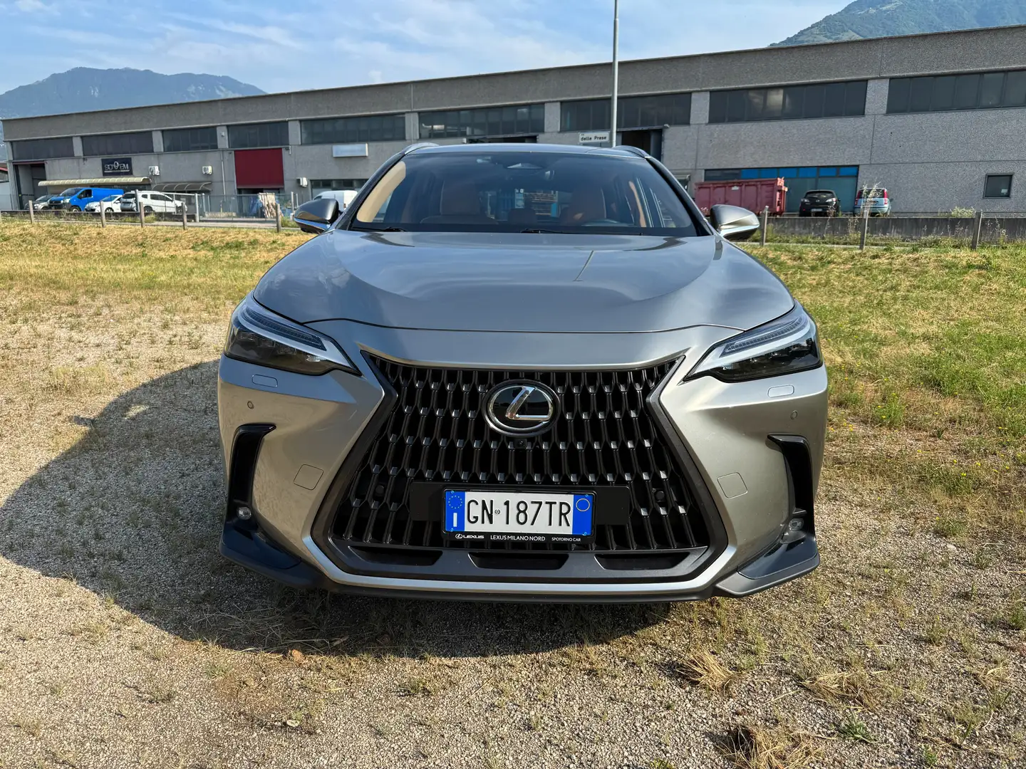 Lexus NX 350h Grigio - 2