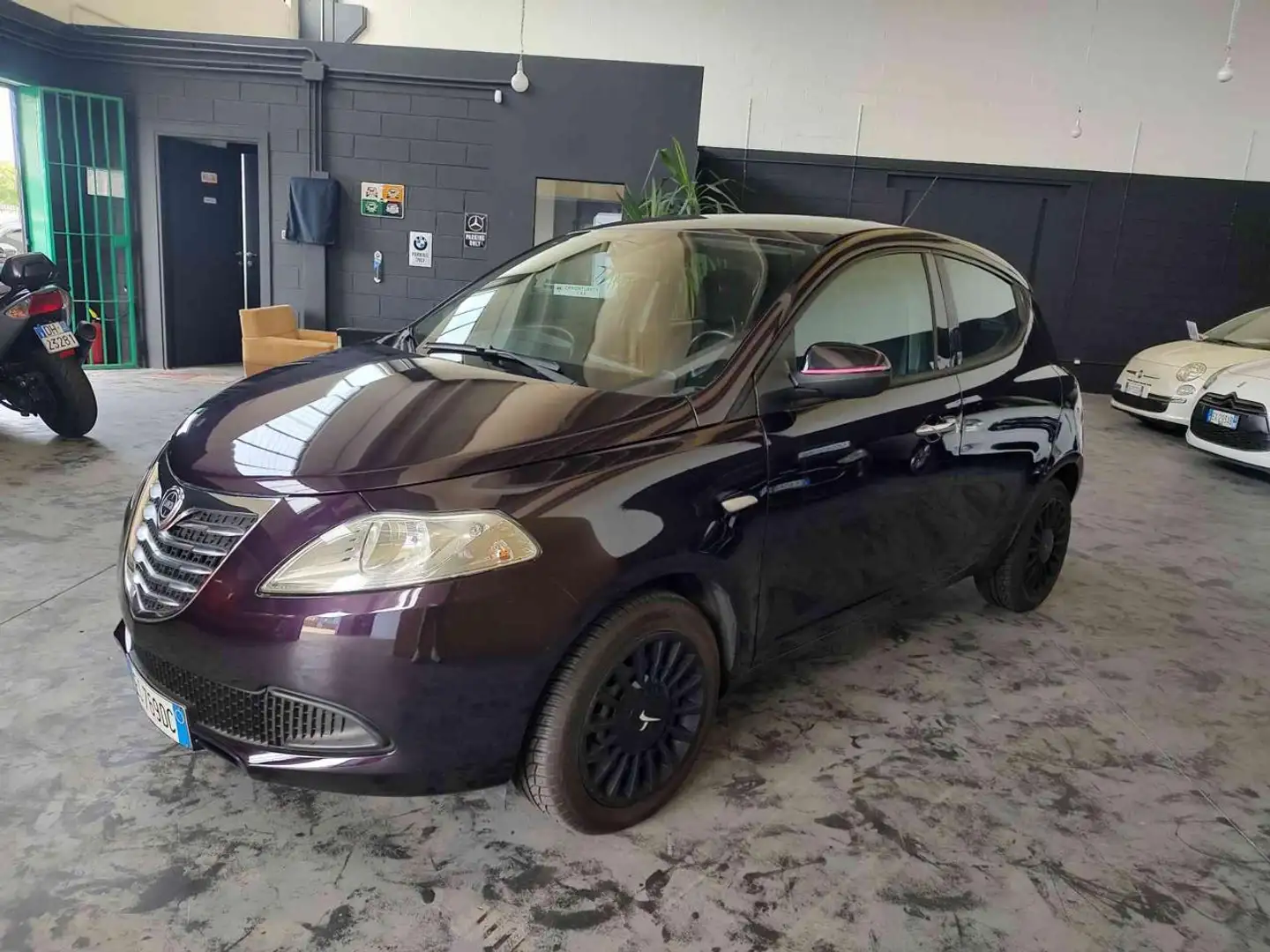 Lancia Ypsilon 1.2 69 CV 5 porte GPL Ecochic Elefantino - 1