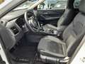 Nissan Qashqai DIG-T 103kW (140CV) mHEV 4x2 Tekna - thumbnail 10