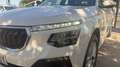 Skoda Kamiq Essence 1,0 (115 CV) Manual 6 vel - thumbnail 15