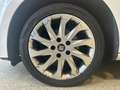 SEAT Leon 2.0 TDI Style SHZ|Klimaauto.|Pano Blanc - thumbnail 7