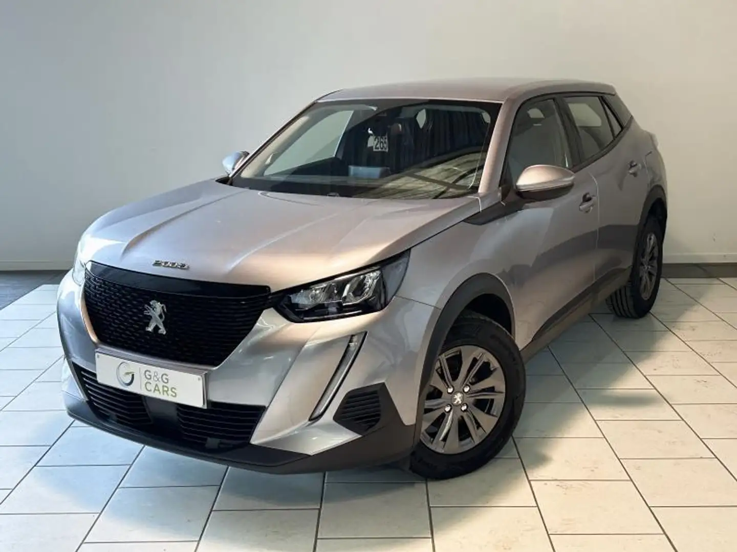 Peugeot 2008 II Active Серый - 1