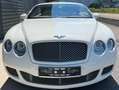 Bentley Continental GT Speed Mulliner W12 610 Cv Coupe' Iva 22% Compresa White - thumbnail 7