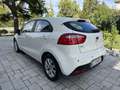 Kia Rio Rio III 5p 1.1 crdi Active OK NEOPATENTATI Blanc - thumbnail 4
