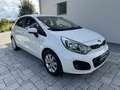 Kia Rio Rio III 5p 1.1 crdi Active OK NEOPATENTATI Blanc - thumbnail 8