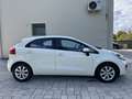 Kia Rio Rio III 5p 1.1 crdi Active OK NEOPATENTATI Blanc - thumbnail 7