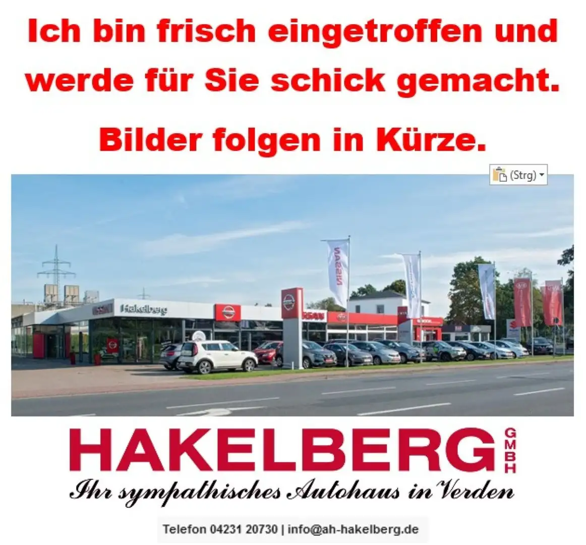 Nissan Qashqai 1.3 DIG-T Premier Limited Edition, AHK, Weiß - 2