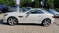Mercedes-Benz SLK 200 SLK Roadster SLK 200 AMG Line Navi Leder Wit - thumbnail 5