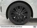 Land Rover Range Rover Sport 3.0 SDV6 249 CV HSE Dynamic Weiß - thumbnail 14