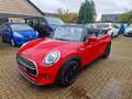 MINI Cooper Cabrio Cooper Automatik Kamera Navi Rot - thumbnail 3