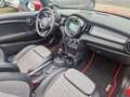 MINI Cooper Cabrio Cooper Automatik Kamera Navi Rot - thumbnail 14