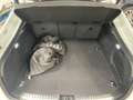 Audi A5 Black Line quattro 220 kW (299 CV) S tronic Blanco - thumbnail 10
