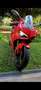 Ducati Panigale V4 Rojo - thumbnail 4