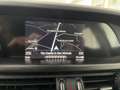 Alfa Romeo Stelvio 2.2 Td 180CV AT8 RWD Business CON PROMO PLUS Rosso - thumbnail 21