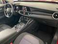 Alfa Romeo Stelvio 2.2 Td 180CV AT8 RWD Business CON PROMO PLUS Rosso - thumbnail 25