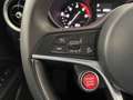 Alfa Romeo Stelvio 2.2 Td 180CV AT8 RWD Business CON PROMO PLUS Rosso - thumbnail 18