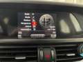 Alfa Romeo Stelvio 2.2 Td 180CV AT8 RWD Business CON PROMO PLUS Rosso - thumbnail 22