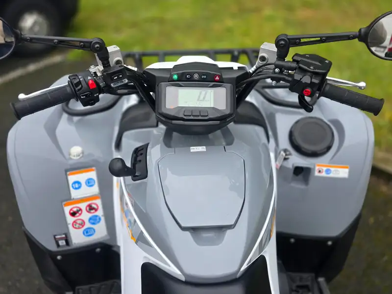 Yamaha GRIZZLY 700 - foto 7