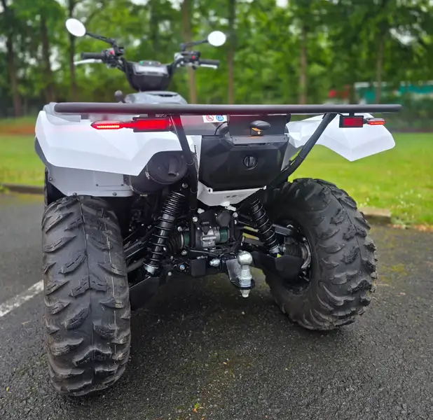Yamaha GRIZZLY 700 - foto 6