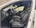 Audi A4 allroad A4 40 allroad quattro 2.0 TDI Weiß - thumbnail 11