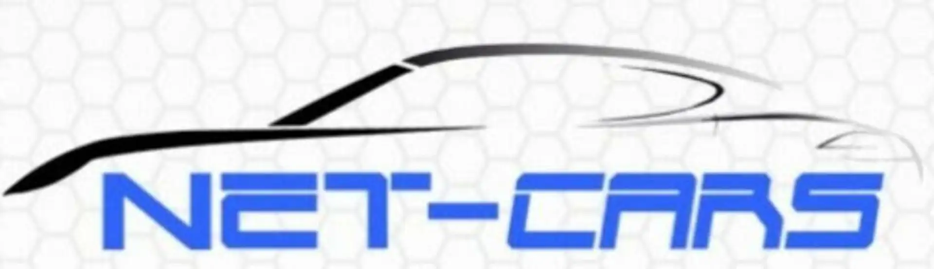 Citroen C4 Cactus PureTech*PANORAM*NAVi+Kamera*1HAND Grau - 2