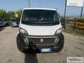 Fiat Ducato Ducato 28 2.3 MJT 120CV PC-TN Furgone Wit - thumbnail 3