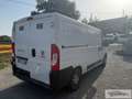 Fiat Ducato Ducato 28 2.3 MJT 120CV PC-TN Furgone Wit - thumbnail 5
