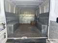 Fiat Ducato Ducato 28 2.3 MJT 120CV PC-TN Furgone Wit - thumbnail 7