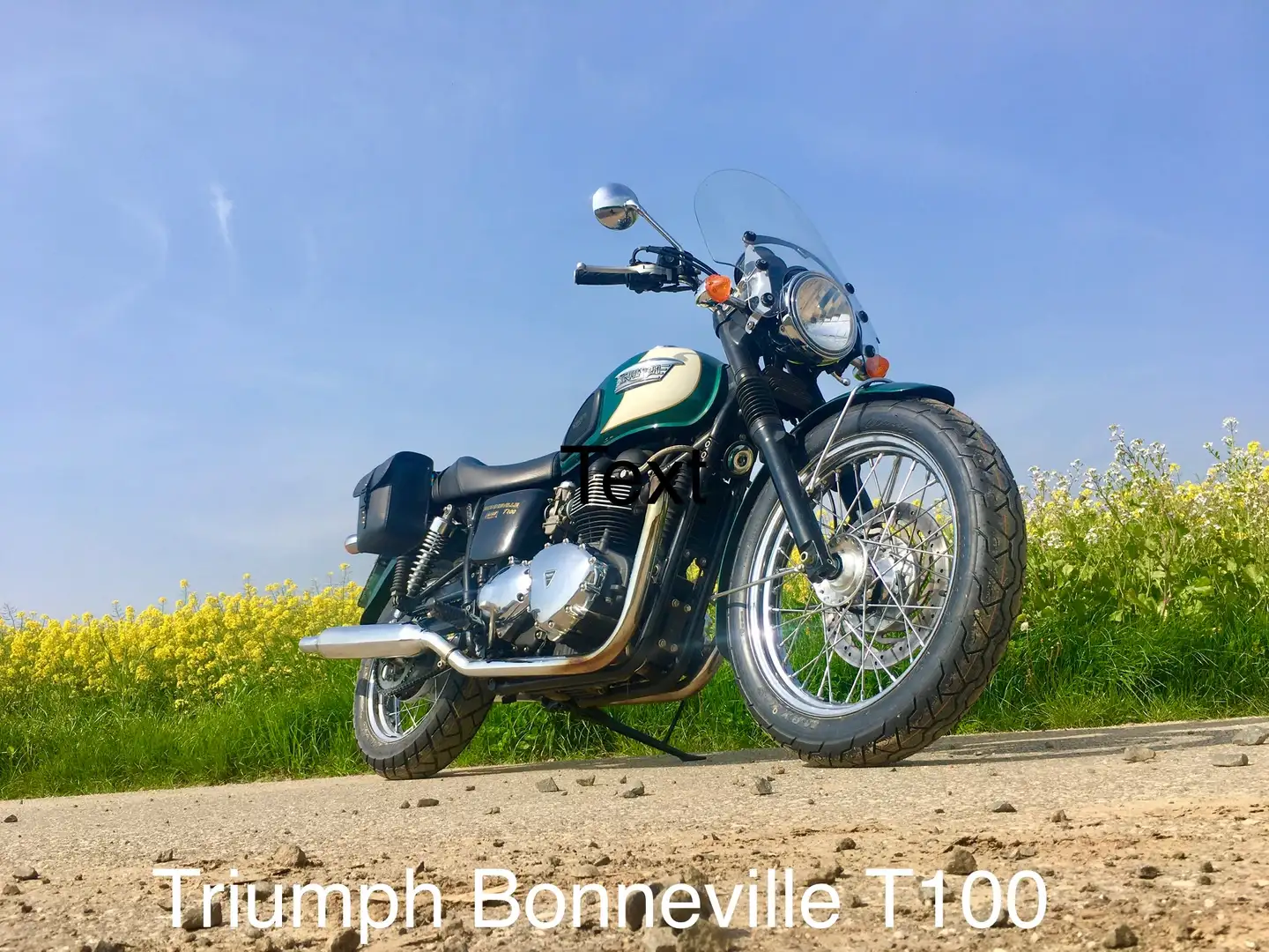 Triumph Bonneville T100 Grün - 1