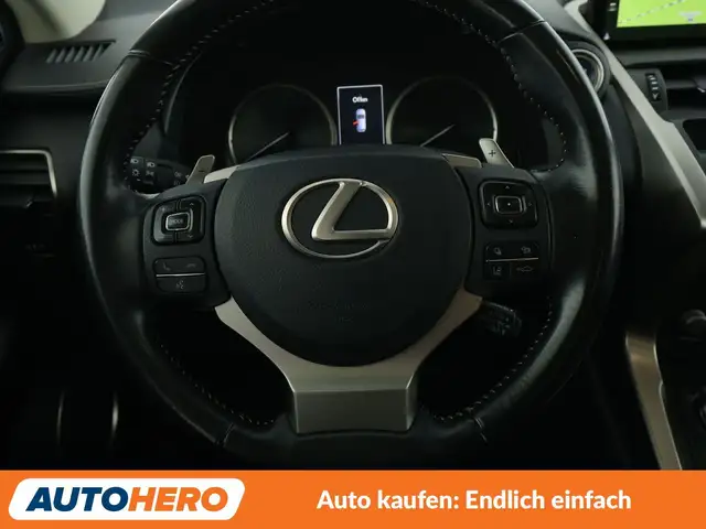 Lexus NX view 19