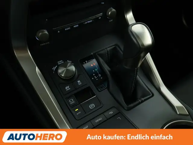 Lexus NX view 26