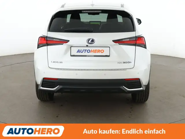 Lexus NX view 5