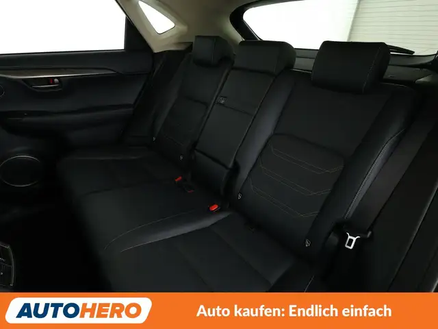 Lexus NX view 14