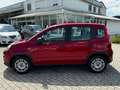 Fiat Panda Rot - thumbnail 11