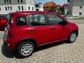 Fiat Panda Rot - thumbnail 7