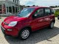 Fiat Panda Rot - thumbnail 1