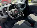 Fiat Panda Rot - thumbnail 13