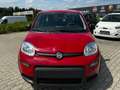 Fiat Panda Rot - thumbnail 4