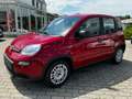 Fiat Panda Rot - thumbnail 3