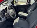 Fiat Panda Rot - thumbnail 14