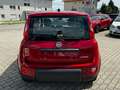 Fiat Panda Rot - thumbnail 8