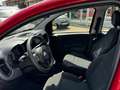 Fiat Panda Rot - thumbnail 12