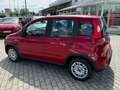 Fiat Panda Rot - thumbnail 10