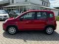 Fiat Panda Rot - thumbnail 2