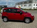 Fiat Panda Rot - thumbnail 6