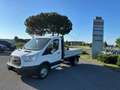 Ford Transit 350 2.0TDCi EcoBlue 170CV RG Cassone Fisso Blanc - thumbnail 1