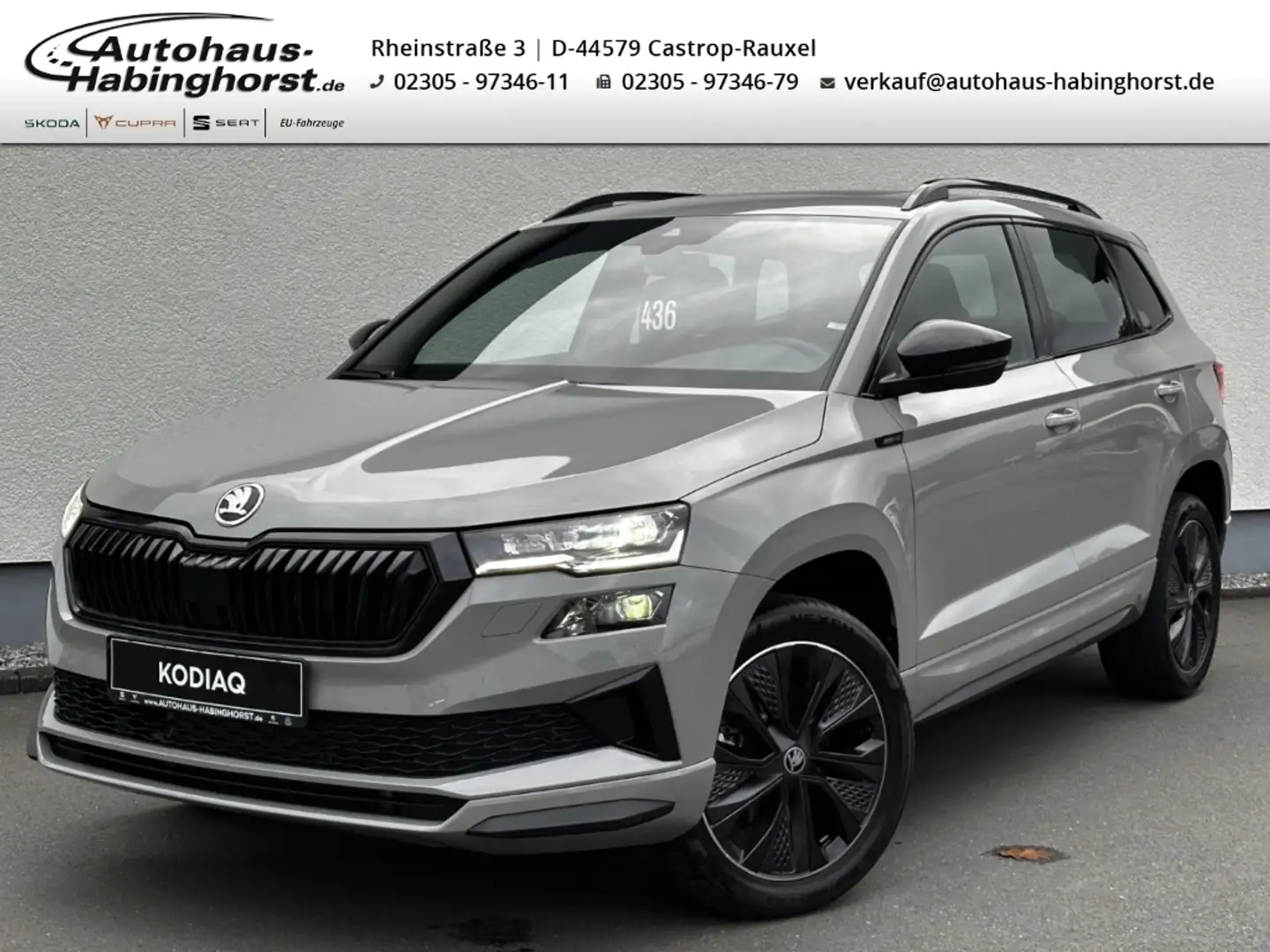 Skoda Karoq 1.5 TSI DSG Sportline AHK Pano LED ACC Navi FullLi Grau - 1