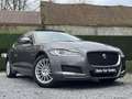 Jaguar XF 2.0 D E-Performance Prestige / EL. ZETELS / PANO Gris - thumbnail 6